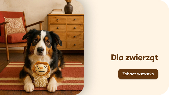 Pies siedzi na dywanie w domowym wnętrzu, trzyma w łapkach zabawkę w kształcie lwa. Obok znajduje się napis „Dla zwierząt” oraz przycisk „Zobacz wszystko”, który kieruje do oferty dedykowanej akcesoriom dla zwierząt. Idealne miejsce dla pupili i ich właścicieli. banner