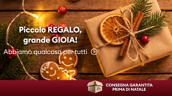 Regalo di Natale avvolto con dettagli naturali, decorazioni festive e biscotti di zenzero. Testo promozionale: "Piccolo regalo, grande gioia! Abbiamo qualcosa per tutti." Consegna garantita prima di Natale. Perfetta idea per sorprendere e condividere felicità durante le feste.