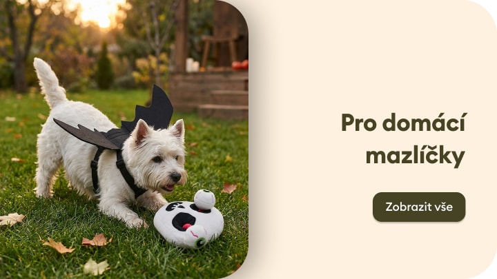 Nabídka produktů pro domácí mazlíčky a potřeby pro psy při hraní venku