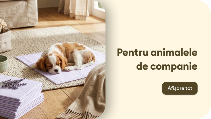 Promovare categorie de produse pentru animale de companie, evidențiind confortul și îngrijirea lor în locuință