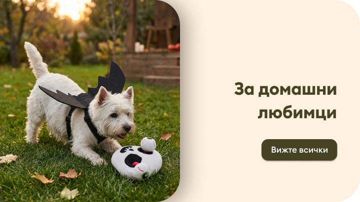 Аксесоари и играчки за домашни любимци за игра и разходка на открито