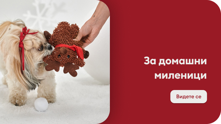 Мало куче игра со мека играчка во форма на ирвас. Раката на сопственикот ја подава играчката кон кучето. Ова е дел од кампања за производи за домашни миленици со порака „За домашни миленици“. Тука има опција „Видете се“ за повеќе информации.