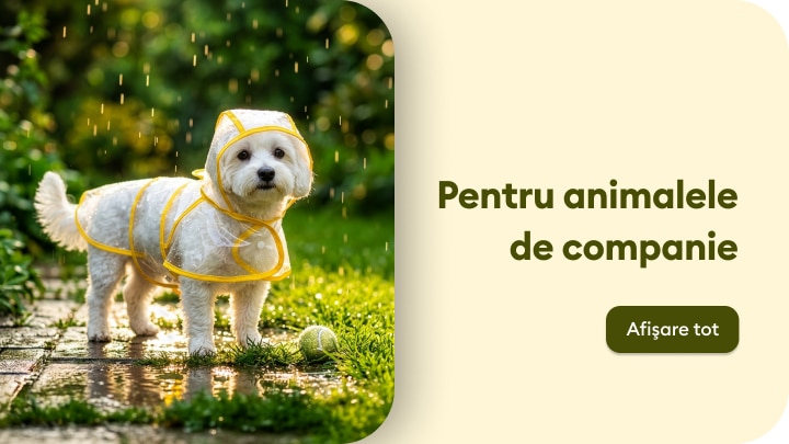 Accesorii și îmbrăcăminte pentru animale de companie potrivite pentru plimbări pe timp ploios și activități în aer liber