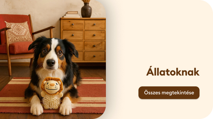 Kutya ül egy szőnyegen, játék oroszlánnal a mancsai között. Az 