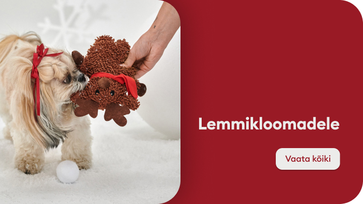 Koer istub vaibal ja hoiab mänguasja oma käppade vahel. Tekst pildil viitab sellele, et see toode on mõeldud lemmikloomadele. Paremal pool nupp, mis kutsub üles vaatama kõiki lemmikloomadele mõeldud tooteid. Sobib ideaalselt lemmikloomadele, kes armastavad mängida. banner