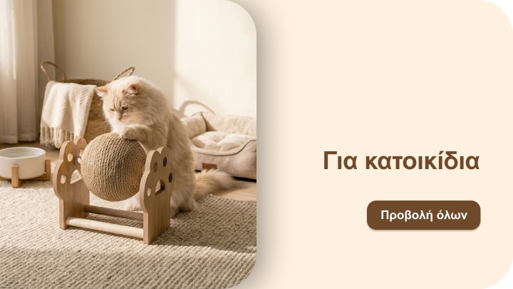 Προβολή προϊόντων και αξεσουάρ για κατοικίδια γάτες και σκύλους σε άνετο οικιακό περιβάλλον