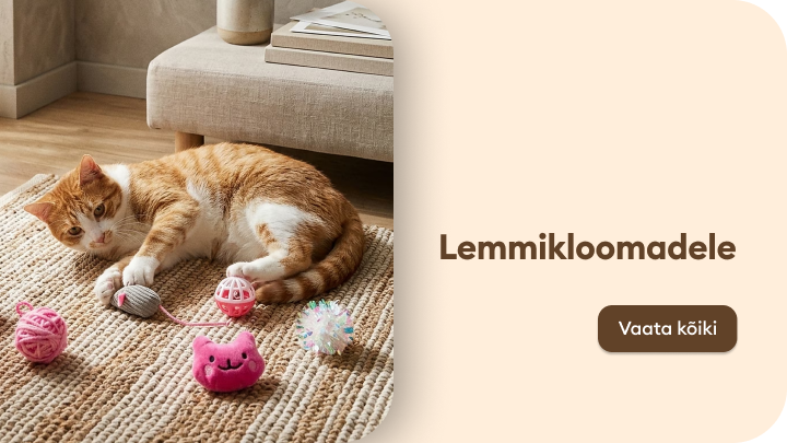 Reklaamib lemmikloomadele mõeldud mänguasju ja tarvikuid, rõhutades mängu ja heaolu kassidele koduses keskkonnas.