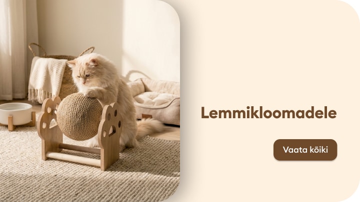 Lemmikloomade mängu- ja puhketarbed kassidele koduseks kasutamiseks