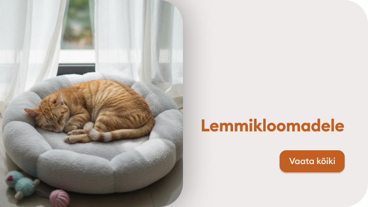 Magav kass pehmes lemmiklooma pesas päikeselise akna all. Pildi kõrval on tekst „Lemmikloomadele“ ja nupp „Vaata kõiki“, mis viitab lemmikloomadele mõeldud toodete või teenuste kategooriale.