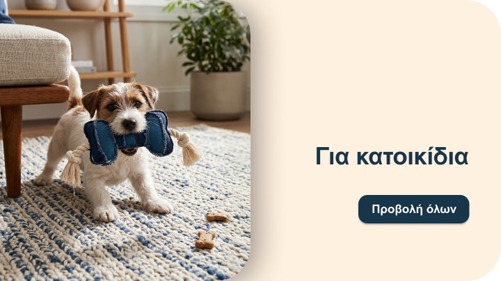 Σκύλος που παίζει με παιχνίδι μάσησης σε εσωτερικό χώρο, προβάλλοντας προϊόντα και αξεσουάρ για κατοικίδια