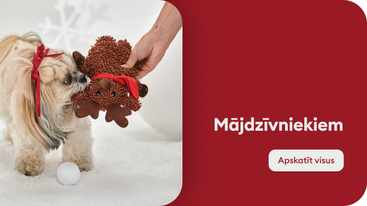 Mājdzīvnieks spēlējas ar mīkstu rotaļlietu, ko tam sniedz roka. Uzsvars uz draudzīgu mijiedarbību starp dzīvnieku un cilvēku. Rotaļlieta ir dzīvnieka izklaidei un priekam, radot mājīgu atmosfēru.