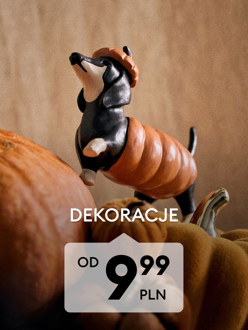 Jesienne dekoracje do domu z motywem dyni dostępne od 9,99 PLN